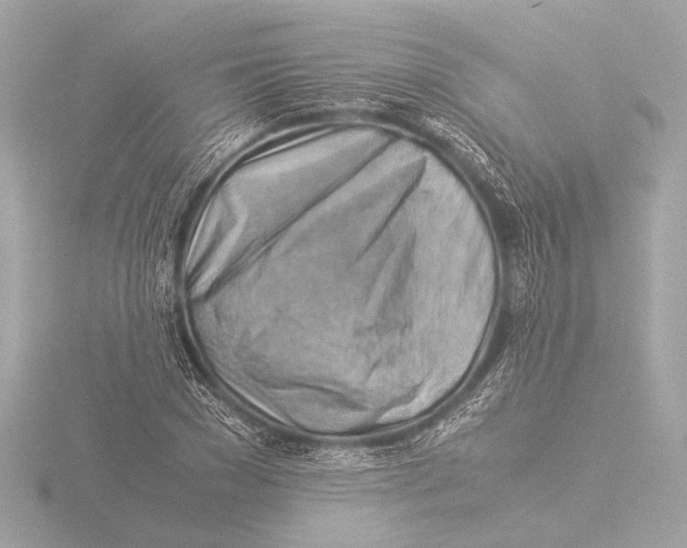 X0000116060977200912181309