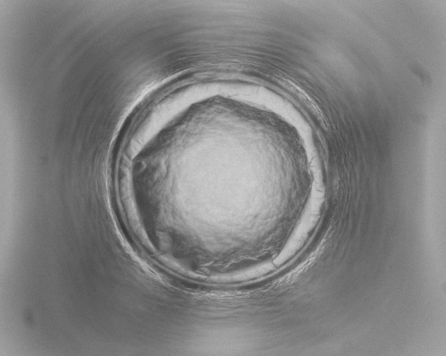 X0000116060989200912181309
