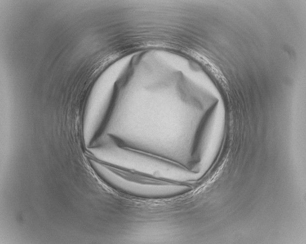 X0000116060993200912181309