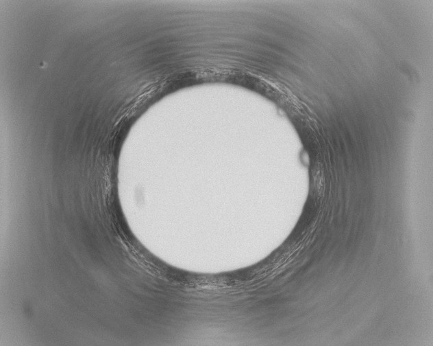 X0000116061012200912181308
