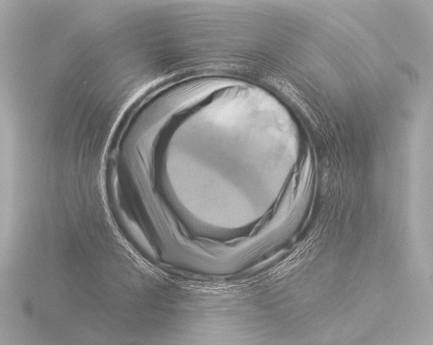 X0000116061024200912181309