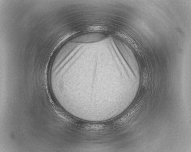 X0000116061039200912181309
