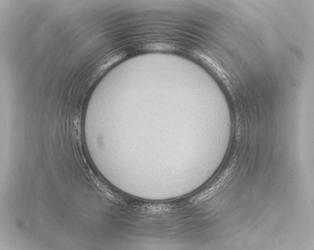 X0000116061041200912181309
