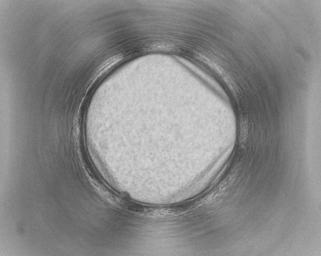 X0000116061042200912181309