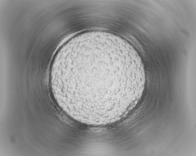X0000116061044200912181309