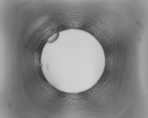 X0000116061058200912181308