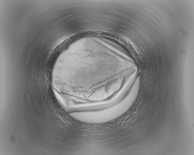 X0000116061064200912181308