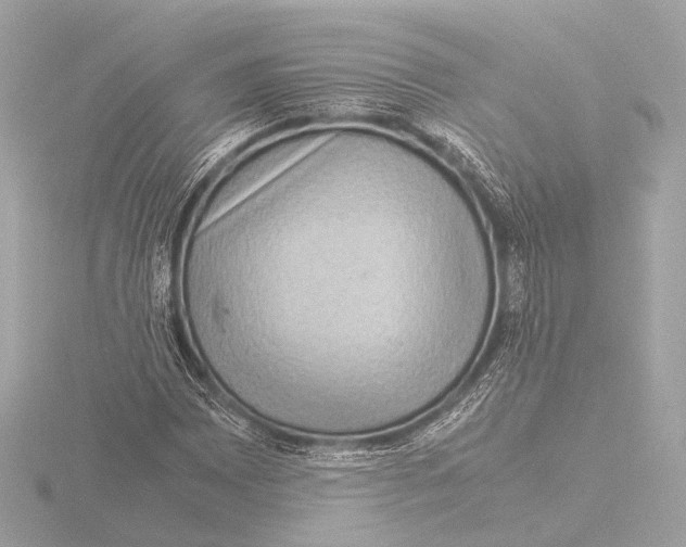 X0000116061065200912181308