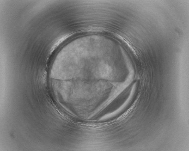 X0000116061066200912181308