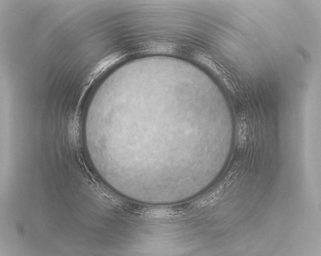 X0000116061074200912181308
