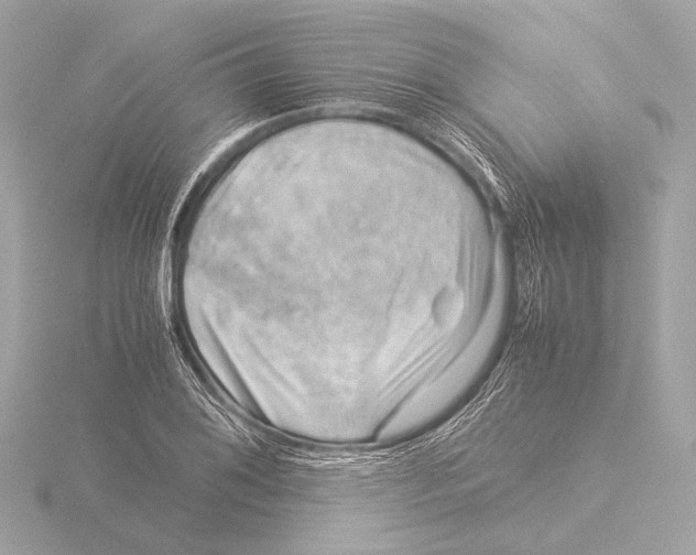 X0000116061076200912181308