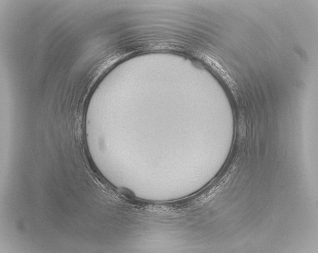 X0000116061089200912181308