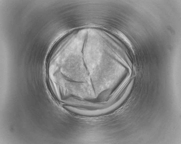 X0000116061096200912181308
