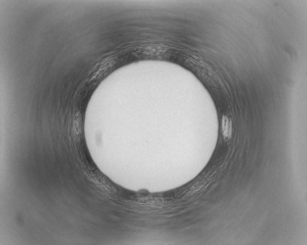 X0000116061107200912181307