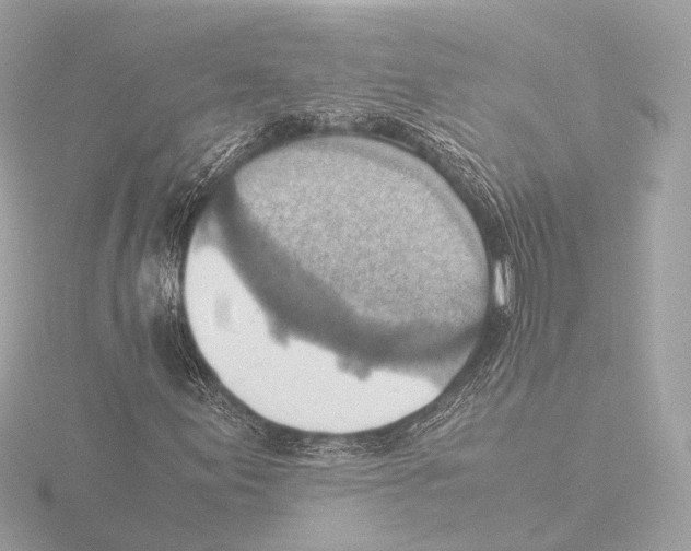 X0000116061155200912181307