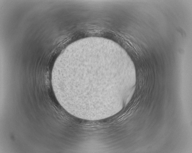 X0000116061156200912181307