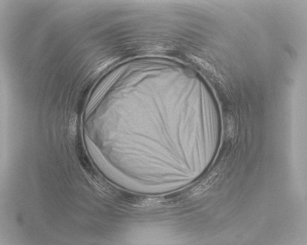 X0000116061161200912181307