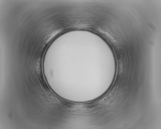 X0000116061162200912181307