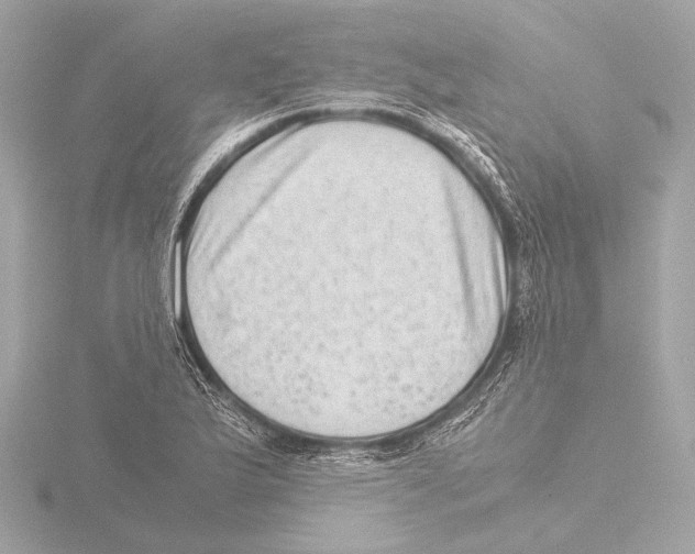 X0000116061175200912181307