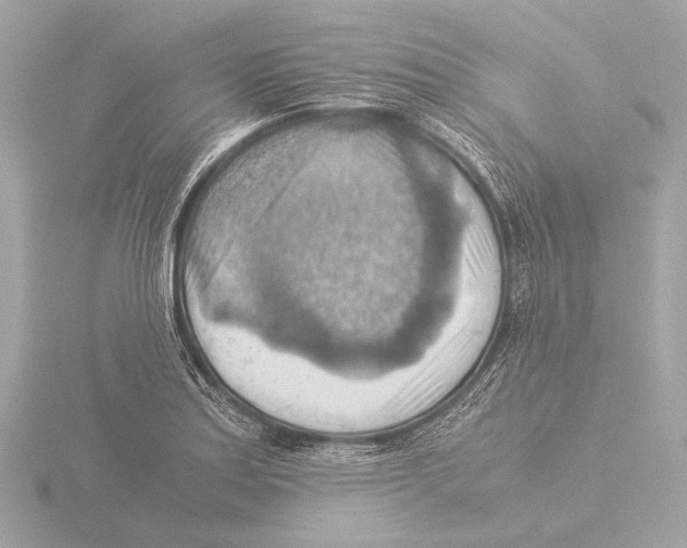 X0000116061179200912181306