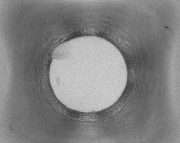 X0000116061201200912181306