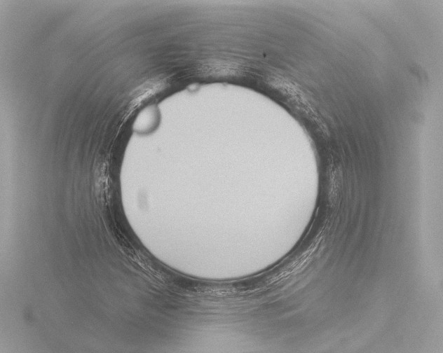 X0000116061210200912181306