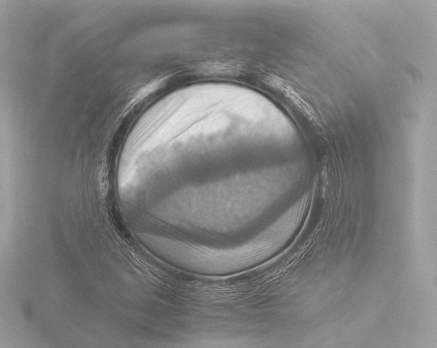 X0000116061213200912181306