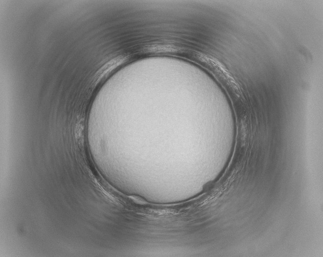 X0000116061225200912181306