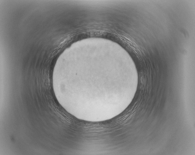 X0000116061252200912181306