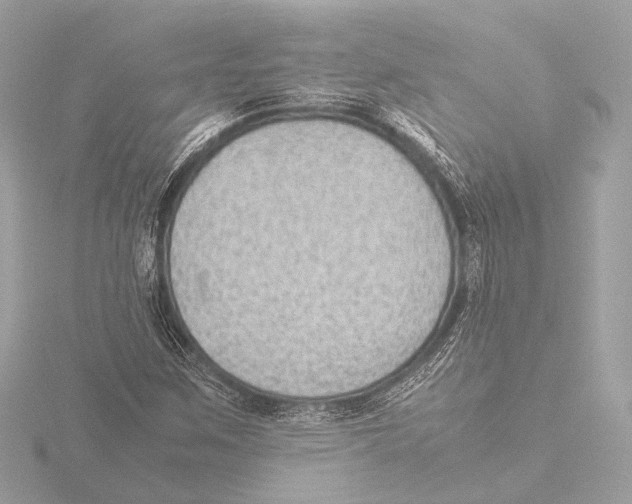 X0000116061259200912181305