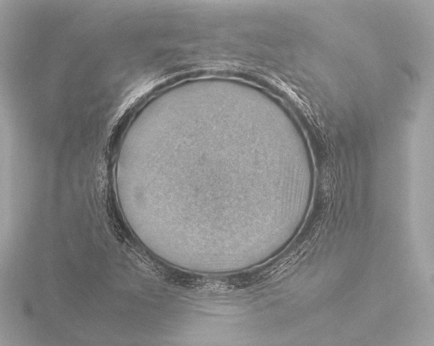 X0000116061263200912181305