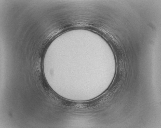 X0000116061265200912181305