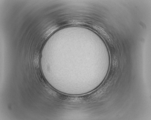 X0000116061273200912181305