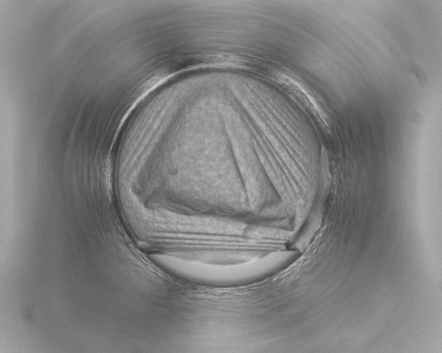 X0000116061284200912181305