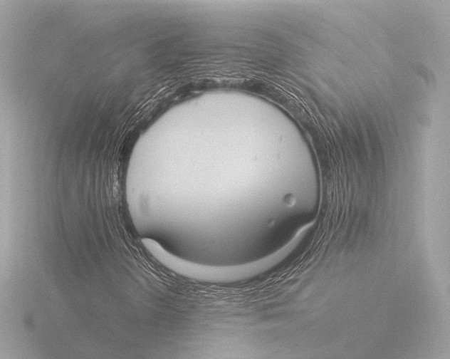 X0000116061298200912181304