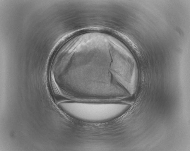X0000116061327200912181305