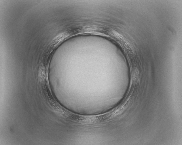 X0000116061353200912181304