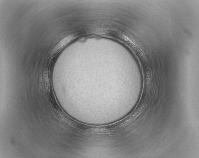 X0000116061354200912181304