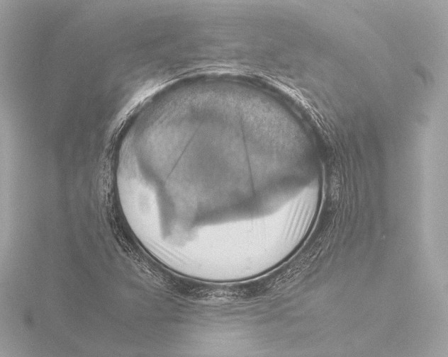 X0000116061359200912181304