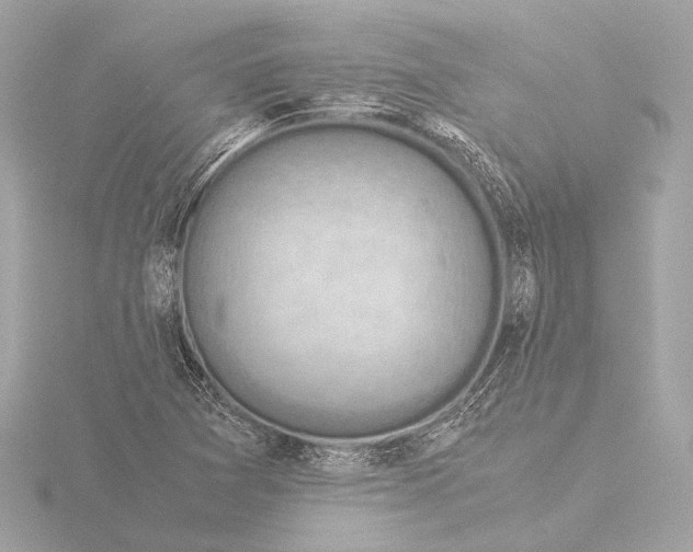 X0000116061361200912181304