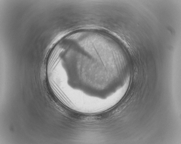 X0000116061367200912181304