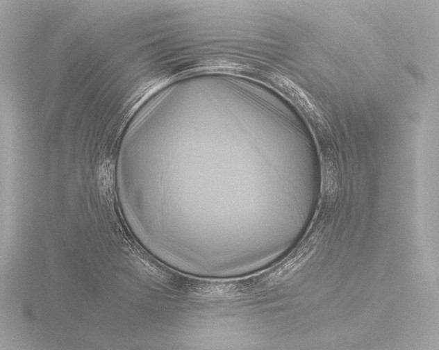 X0000116061369200912181304