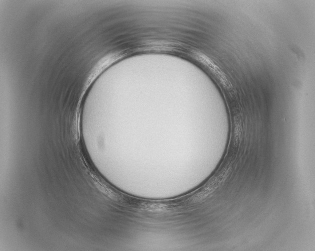 X0000116061370200912181304