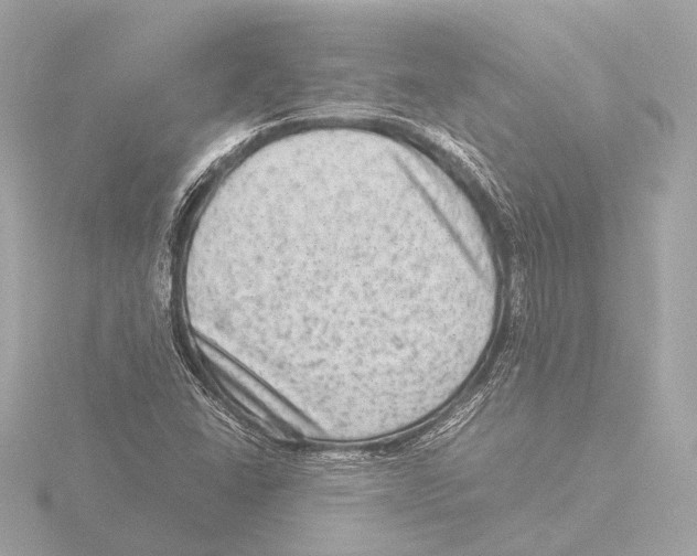 X0000116061406200912181303