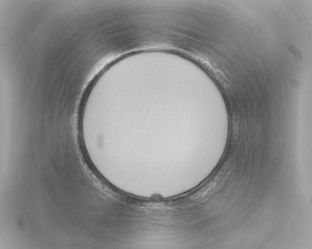 X0000116061422200912181304