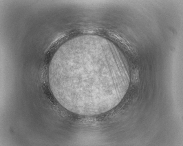 X0000116061446200912181303