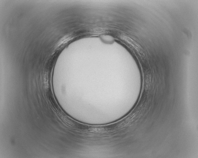 X0000116061451200912181303