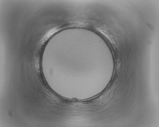 X0000116061455200912181303