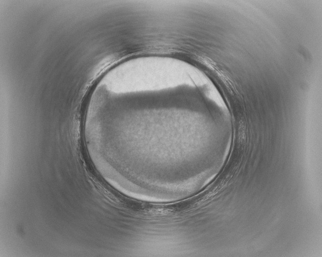 X0000116061459200912181303