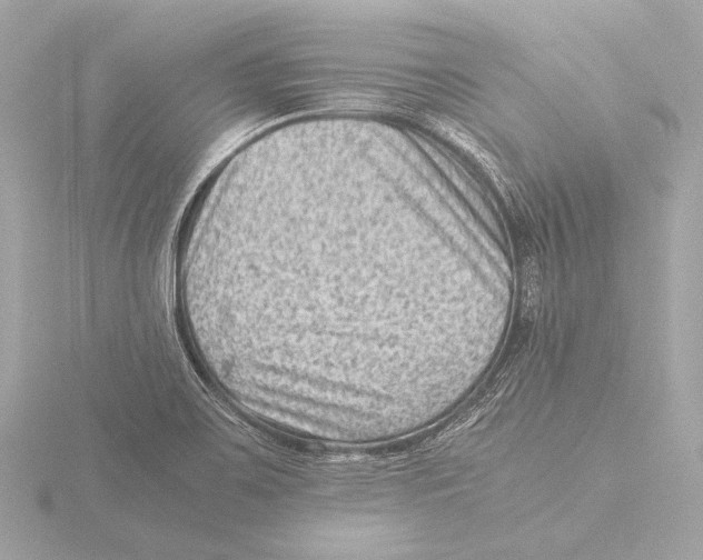 X0000116061467200912181303